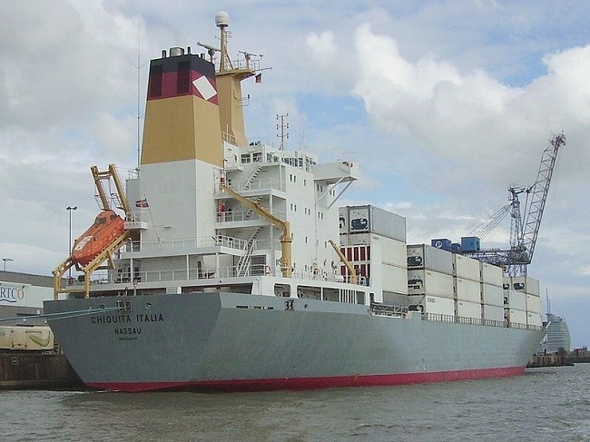 เรือบรรทุกสินค้าแช่เย็น/แช่แข็ง (Reefer Cargo Ship)